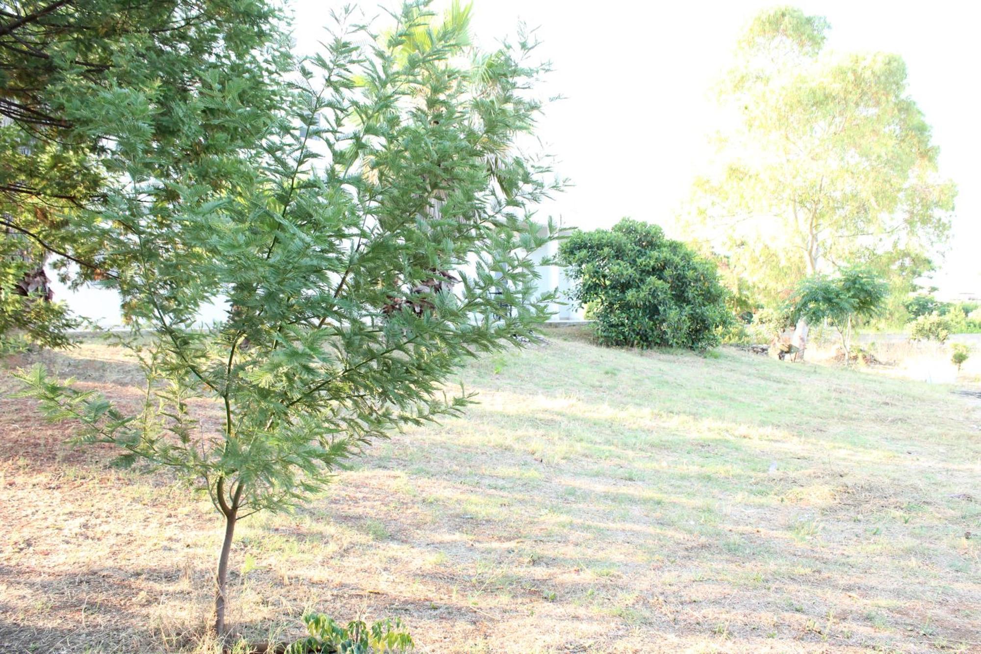 Boat Dreams , Garden Relax Apartment Matino Exterior foto