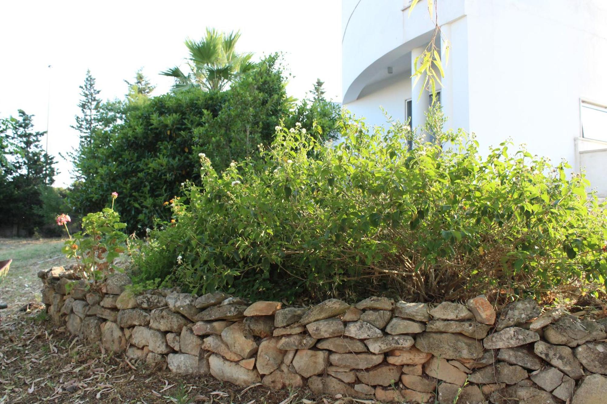 Boat Dreams , Garden Relax Apartment Matino Exterior foto